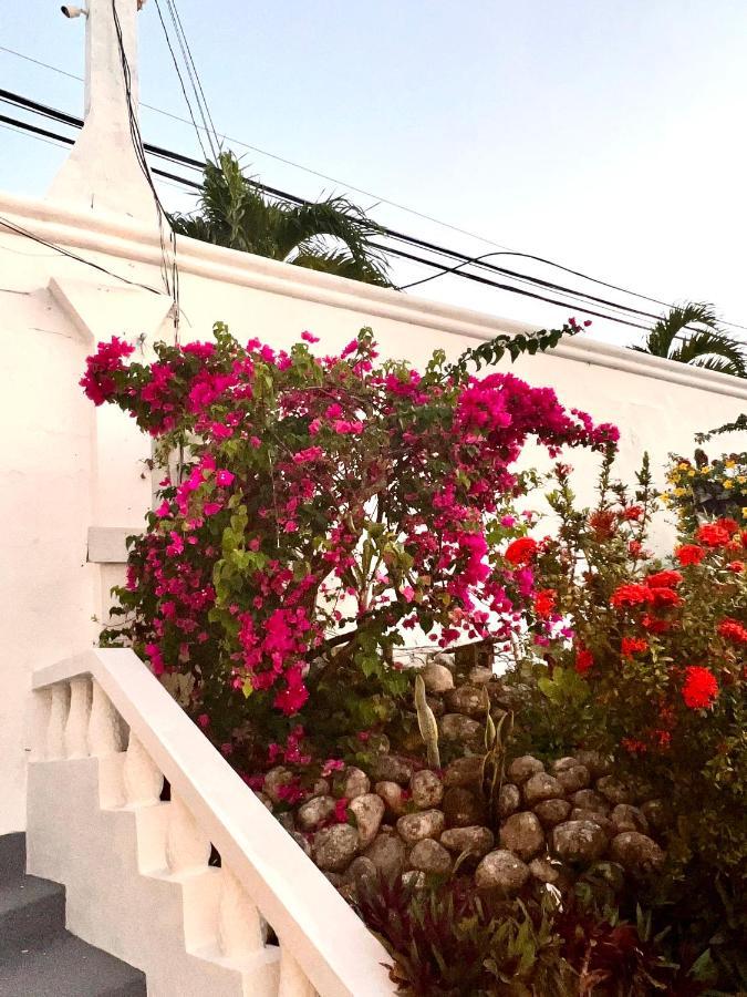 The Villa At Pineapple Cove Boscobel Ngoại thất bức ảnh